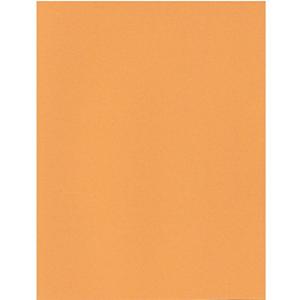 エスケント ケント紙 スターカラー A4 オレンジ 100枚 5749007