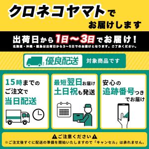 家計管理ケース 家計管理 家計簿 簡単 ファイ...の詳細画像5