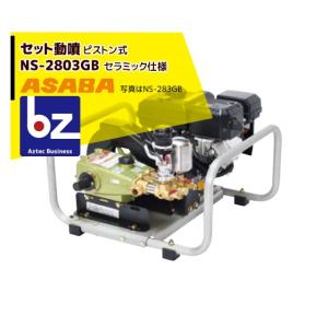 有光工業 アリミツ セラミックセット動噴 ポンプ直結 CSP-425D5 最高