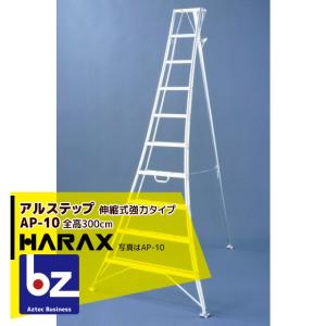 アルミ三脚 普及型 傾斜地用 段数10 高さ3.17m メーカー直送 ナガノ NS 