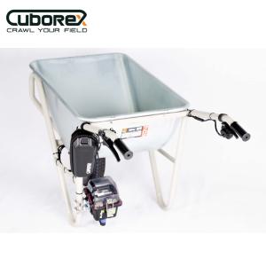 CuboRex キューボレックス E-Cat ...の詳細画像5