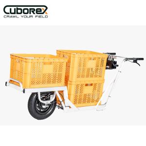 CuboRex キューボレックス E-Cat ...の詳細画像2