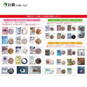 和コーポレーション KAZ 肥料散布機 電動散...の詳細画像5