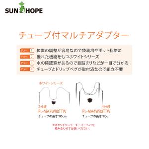 サンホープ <5個セット>SUNH...の詳細画像1