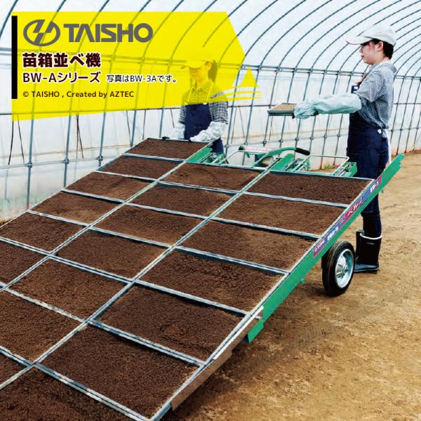 タイショー 苗箱並べ機 ベルノ 3列並べ 作業能率800〜1,600箱/時間 BW-3A