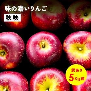 10月5日から発送開始 指定日不可「秋映5キロ箱訳あり品」 甘い 秋 りんご 長野県 安曇野 信州 産地直送 果物 訳あり 5kg