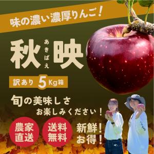 10月5日から発送開始 指定日不可「秋映5キロ...の詳細画像2