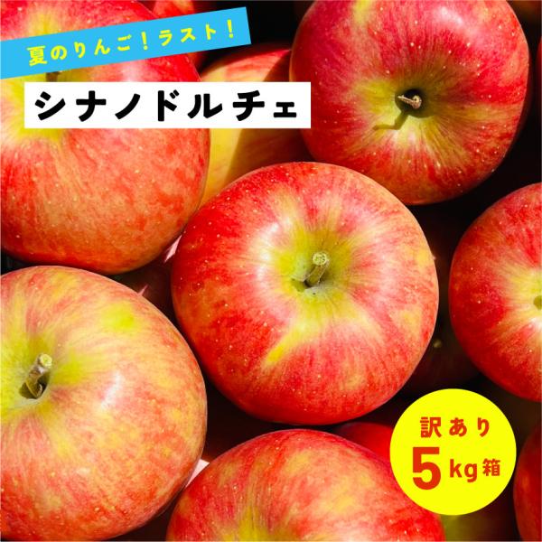 9月15日から発送開始 指定日不可 シナノドルチェ５キロ箱訳あり品 食べ応え抜群「シナノドルチェ5キ...