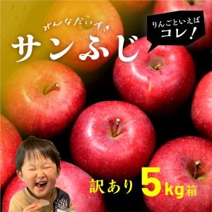 2月9日から発送！家庭用も入ります！「サンふじ5キロ箱家庭用&amp;訳あり」 甘い 酸っぱい りんご 長野県 安曇野 信州 産地直送 果物 5kg 爆買