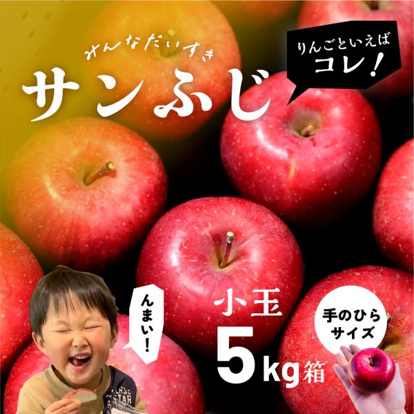 11月17日から発送「サンふじ5キロ箱小玉A品B品」 甘い 小玉 りんご 飴 長野県 安曇野 信州 ...