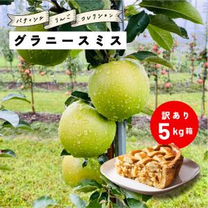 10月22日から発送開始「グラニースミス5キロ箱訳あり品」 加工 りんご 長野 産地直送 果物 フルーツ 訳あり 5kg