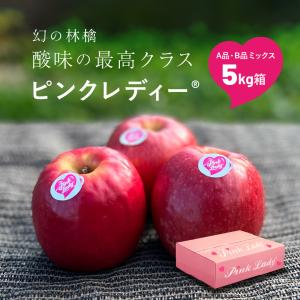 ボボ、世界一小さめりんご【アルプス乙女】10キロ ボボ、世界一小さめりんご【アルプス乙女】10キロ りんご アルプス乙女