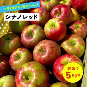 8月5日から発送開始！シナノレッド 訳あり りんご 5kg箱 長野県産 信州 安曇野 夏りんご 産地直送 家庭用 お中元 爆買 「シナノレッド5キロ箱訳あり品」