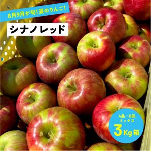 8月5日から発送開始！シナノレッド りんご 3kg箱 長野県産 信州 安曇野 夏りんご 産地直送 贈答用 家庭用 ギフト お中元 爆買「シナノレッド3キロ箱A品B品」