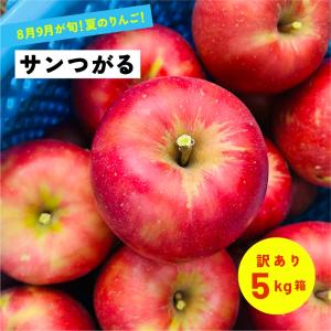 8月19日から発送開始予定 指定日不可 訳あり5キロ箱サンつがる！！あまーーい夏リンゴ！！「サンつがる5キロ箱訳あり品」