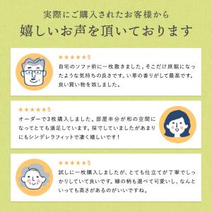 縁付き一畳 みやび 1枚 81cm×162cm...の詳細画像1