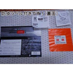 ラグ シャギーラグ スミトロンニューツイスティ...の詳細画像3