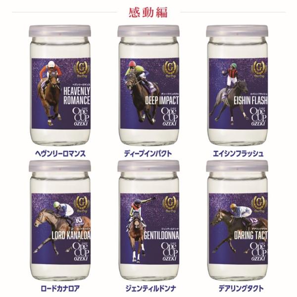 【30本セット】＼感動編／G-One Cup 第2弾！大関 上撰ワンカップ 180ml 30本セット...