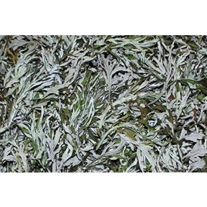 自然栽培 (農薬不使用 化学肥料不使用) 【国産 安曇野産 100%】 カラス