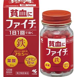 ファイチ　120錠　【第2類医薬品】　小林製薬　｜azumiyafuu-store-2