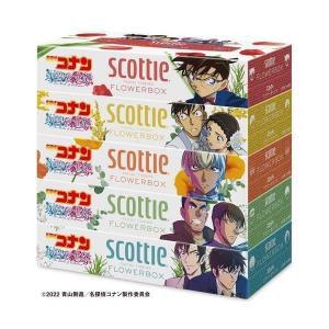 スコッティ ティシュー フラワーボックス  名探偵　コナン 　320枚　160組　5箱パック 　 日本製紙クレシア｜azumiyafuu-store