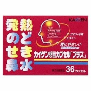 【指定第2類医薬品】 カイゲン感冒カプセルプラス...の商品画像