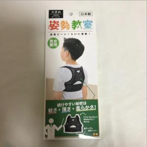 姿勢教室 日本製 姿勢矯正 背筋ピーン 小学生...の詳細画像1