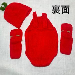ニューボンフォト 寝相アート フルーツ 衣装 ...の詳細画像4