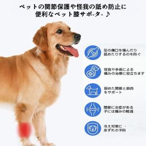 膝サポーター ペット 犬 ネコ 猫 手術 足 ...の詳細画像1