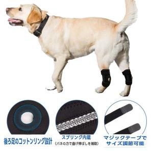 膝サポーター ペット 犬 ネコ 猫 手術 足 ...の詳細画像3