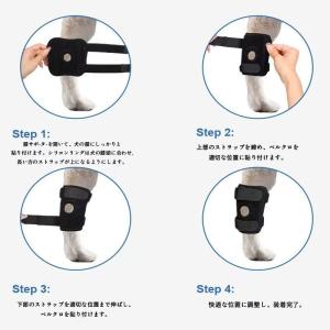 膝サポーター ペット 犬 ネコ 猫 手術 足 ...の詳細画像5