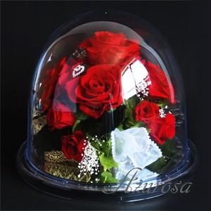 ギフトプリザーブドフラワー 赤バラたっぷりのラウンドミラードームL 還暦祝い 退職祝い 結婚祝い 開店祝い プリザーブドフラワー｜azurosa