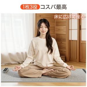 「クーポンで4,680円」パネルヒーター 足元...の詳細画像2