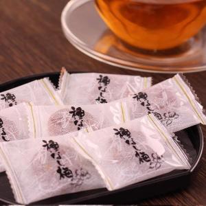 おやつ 種なし干し梅 個包装 梅干し 梅菓子 1...の商品画像