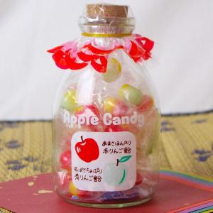 りんご飴 リンゴ味 お土産 岐阜銘菓 120g 和菓子 音羽屋