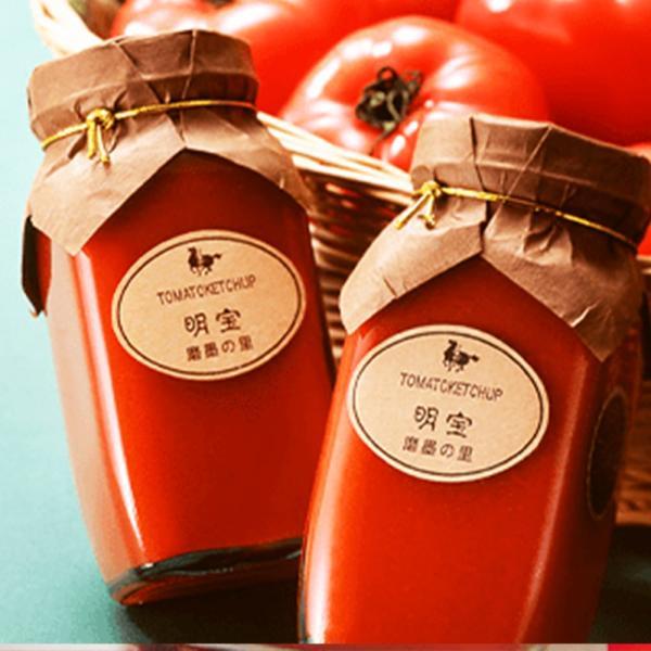 明宝トマトケチャップ  明宝レディース とまと 瓶 岐阜産 国産
