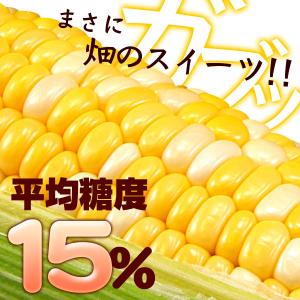とうもろこし 10本セット 8月下旬〜発送 開...の詳細画像2