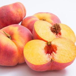 2025年度予約終了　蟠桃 もも 信州産 塚平農園 1.5kg箱（約7〜12個入 ） 8月初旬〜発送 ばんとう 座禅桃 ギフト