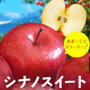 りんご シナノスイート 信州産 5kg (約16〜20玉) 10月上旬〜発送 リンゴ 林檎 長野 ギフト 贈答 2026年度予約
