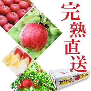 りんご シナノスイート 信州産 5kg (約1...の詳細画像1