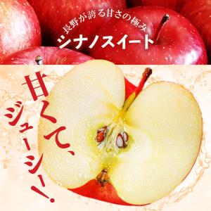 りんご シナノスイート 信州産 5kg (約1...の詳細画像2