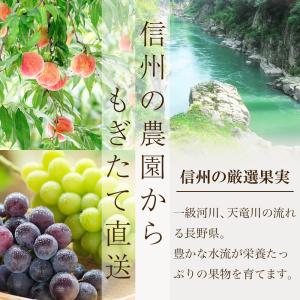 りんご シナノスイート 信州産 5kg (約1...の詳細画像4