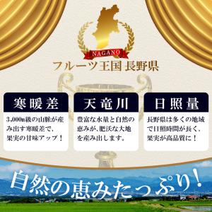 りんご シナノスイート 信州産 5kg (約1...の詳細画像5
