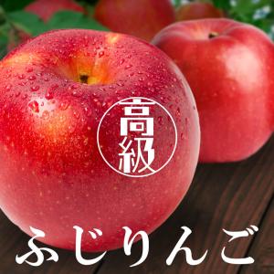 りんご 大玉 ふじりんご 信州産 5kg (約1...の商品画像