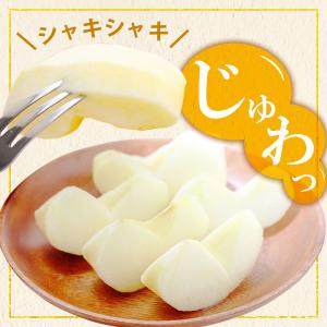 りんご 大玉 ふじりんご 信州産 5kg (約...の詳細画像1