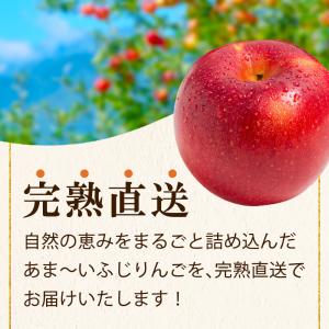 りんご 大玉 ふじりんご 信州産 5kg (約...の詳細画像2