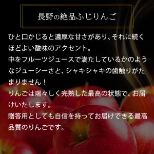 りんご 大玉 ふじりんご 信州産 5kg (約...の詳細画像5