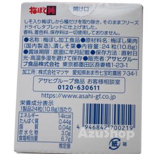 梅ぼし純 フリーズドライ タブレット 8個迄メ...の詳細画像4