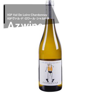 ドンペリニヨン ルミナスボトル 750ml 光る スパークリングワイン