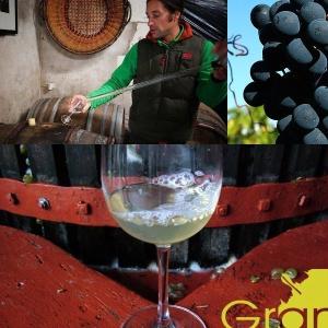 ロワール自然派ワイン｜＜6本セット＞ノファサ・ブラン白｜NOFASA Blanc　2019｜azwine